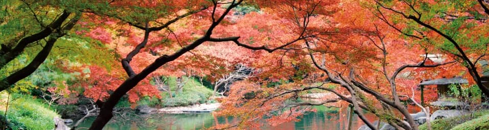 八芳園の池を取り囲む紅葉の木々達