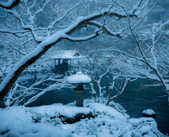 八芳園の冬の日本庭園